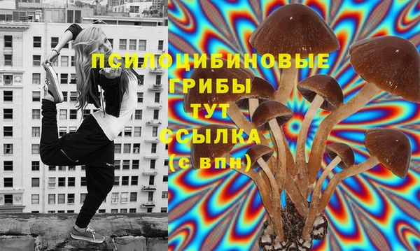 таблы Бердск