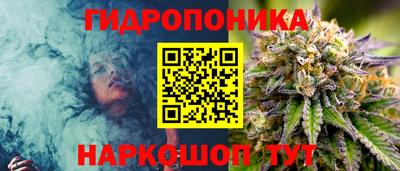 мяу мяу мука Сафоново