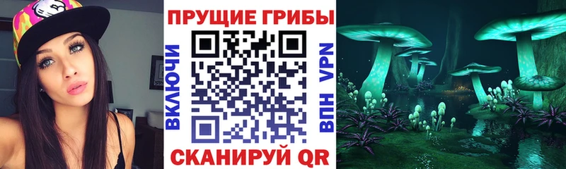 OMG ССЫЛКА  Архангельск  Псилоцибиновые грибы мухоморы 