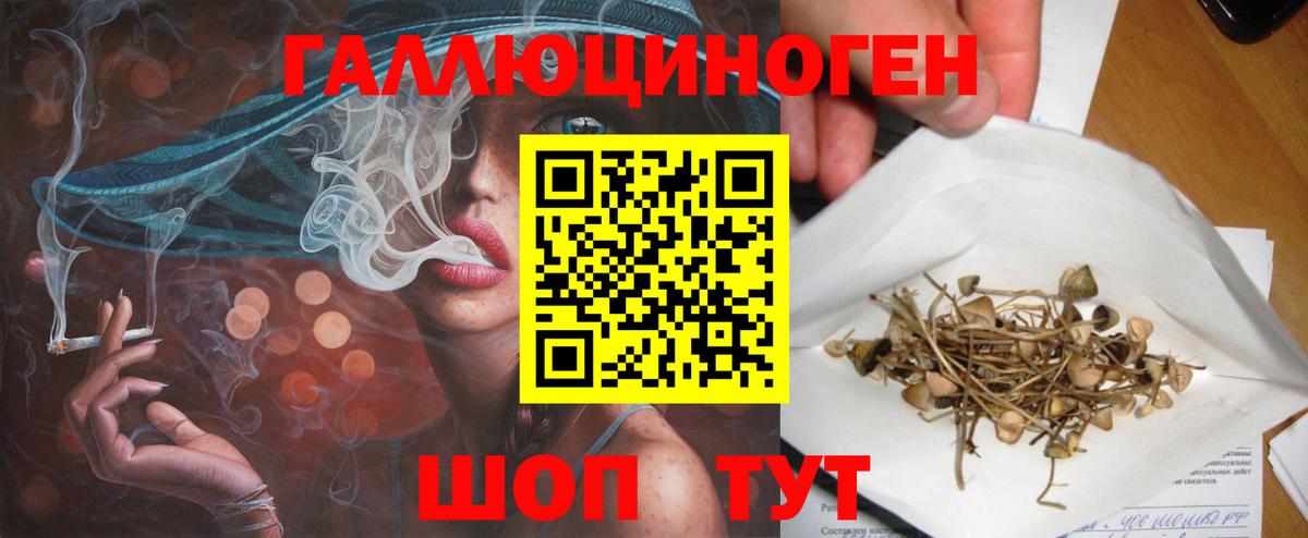 Галлюциногенные грибы Cubensis Архангельск